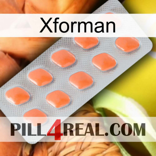 Xforman 26.jpg